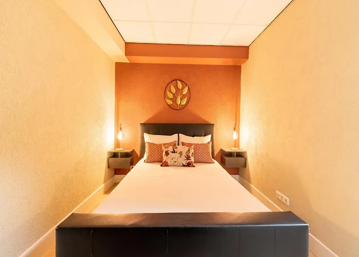 In Schin Op Geul With Sauna