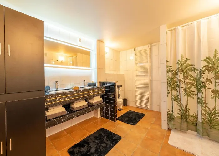 In Schin Op Geul With Sauna Apartment Walem